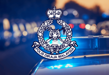 Malaysian Police Probe Syndicate After Man Detained In India With 4kg Hydroponic Cannabis
